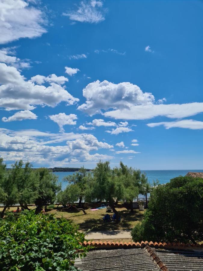 Apartman Luka Novigrad Istria Eksteriør billede
